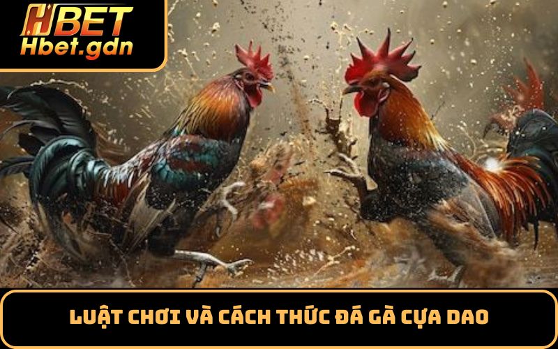 Luật chơi và cách thức đá gà cựa dao