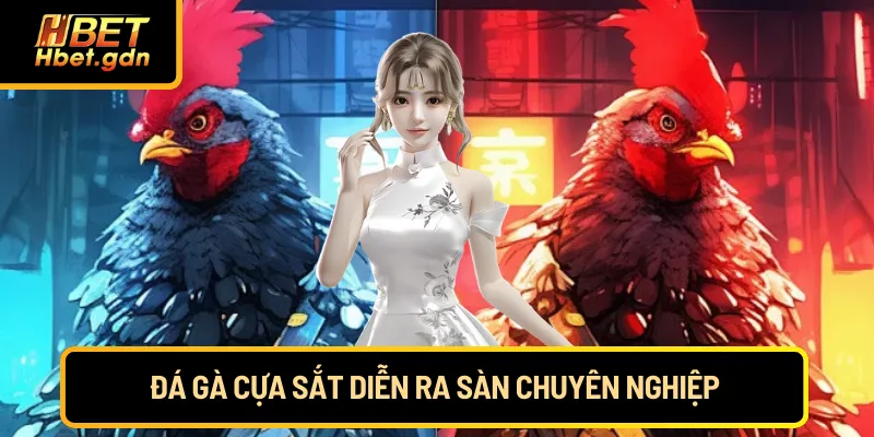 Đá gà cựa sắt diễn ra sàn chuyên nghiệp