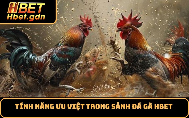 Tính năng ưu việt trong sảnh đá gà Hbet