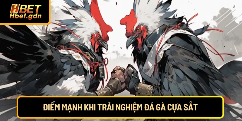 Điểm mạnh khi trải nghiệm đá gà cựa sắt