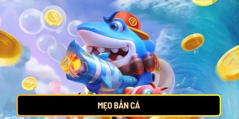 meo-ban-ca
